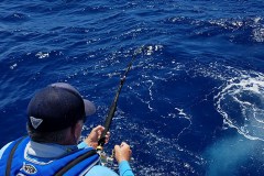 deep drop fishing charters