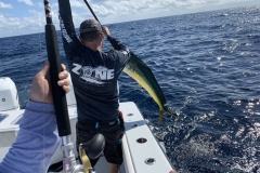 Full Day fishing Charters