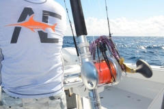 Port Canaveral Fishing Charters