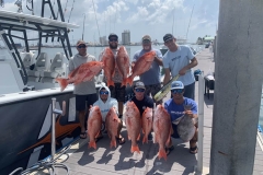 Red Snapper Fishing Charters