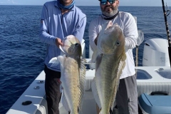 Full Day Fishing charters
