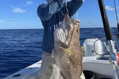 Deep Drop Fishing Charters