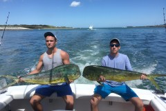 Fish of Port Canaveral